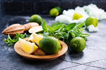 Image showing ingredients for mojito