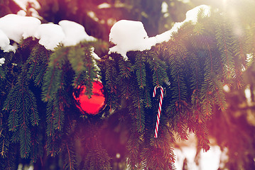 Image showing candy cane and christmas ball on fir tree branch