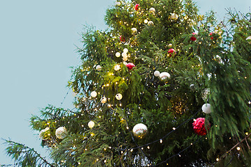 Image showing close up of fir with christmas tree toys outdoors