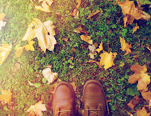 Image showing feet in boots and autumn leaves on grass