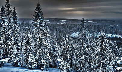 Image showing view of the winter forest in northern Finland, hdr photo