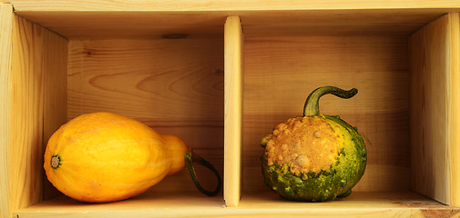 Image showing two decorative pumpkins