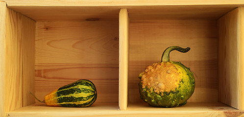 Image showing two decorative pumpkins