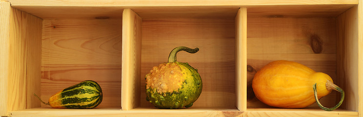 Image showing three decorative pumpkins