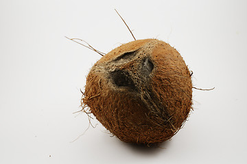 Image showing coconut look like a human face