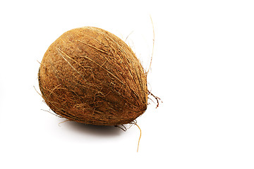 Image showing ripe coconut on the white background