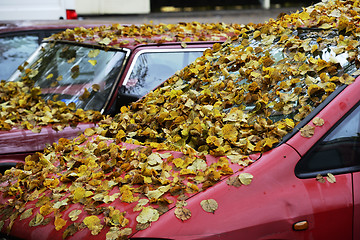 Image showing yellow leaves on the hood and windshield of the car