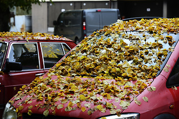 Image showing yellow leaves on the hood and windshield of the car