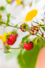 Image showing Summer bouquet of forest flowers and strawberries