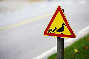 Image showing road sign, ducks passing the road