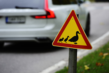 Image showing road sign, ducks passing the road