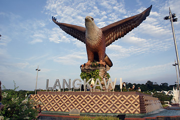 Image showing Big eagle