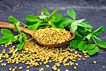 Image showing Fenugreek with leaf in spoon on board