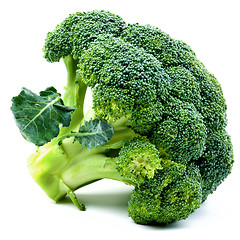 Image showing One Raw Broccoli