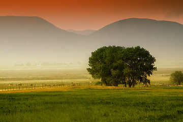 Image showing Tree behind a farm