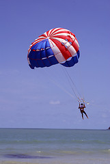 Image showing Paragliding