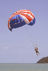 Image showing Paragliding