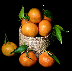 Image showing Ripe Tangerines with Leafs