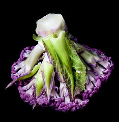 Image showing Fresh Purple Cauliflower