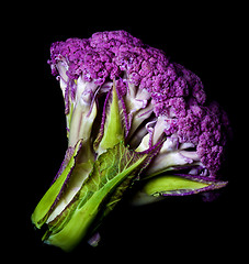 Image showing Fresh Purple Cauliflower