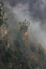 Image showing Beautiful Son of Heaven Mountain Tianzishan in China Hunan Provi