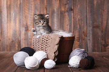 Image showing Cute Kitten With Balls of Yarn