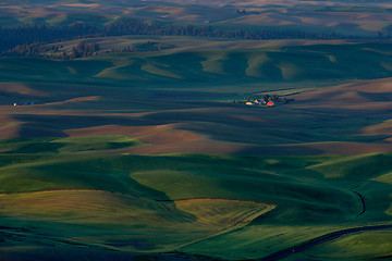 Image showing Palouse Washington from Steptoe Butte 