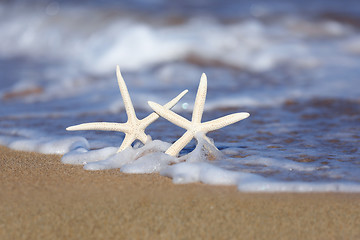 Image showing Starfish in the Sand With Seafoam Waves