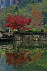 Image showing Landscape Inside Zhangjiajie National Park China 