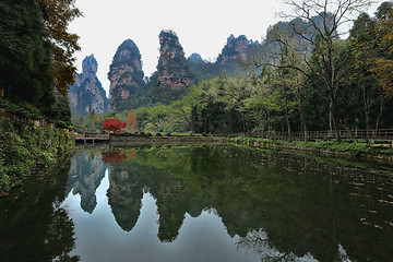 Image showing Landscape Inside Zhangjiajie National Park China 