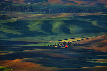 Image showing Palouse Washington from Steptoe Butte 