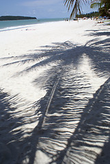 Image showing Shadow