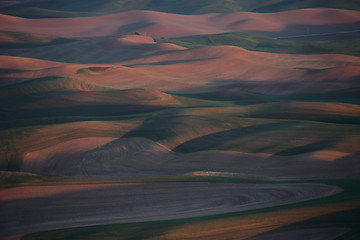 Image showing Palouse Washington from Steptoe Butte 