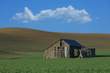 Image showing Condemned Barn in Rural in Palouse Washington 