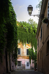 Image showing View of street inTrastevere