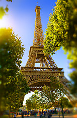 Image showing Eiffel Tower in the park