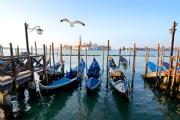 Image showing Gondolas and a seagull