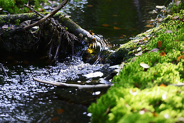 Image showing creek in the forest among the stones and moss