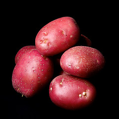 Image showing Raw Red Potatoes