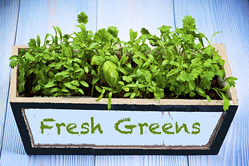 Image showing Fresh Greens in Box