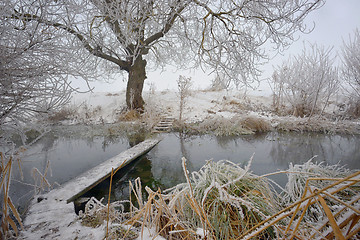 Image showing Frosty winter trees and footbridge 