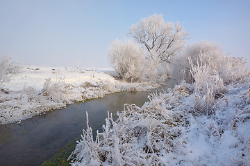 Image showing Frosty winter trees on countryside