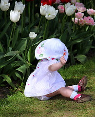 Image showing Baby in tulips field.