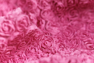 Image showing Pink rose background