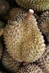 Image showing Durians