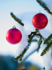 Image showing christmas tree ball decoration