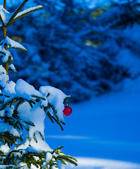 Image showing christmas tree ball decoration