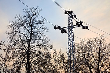 Image showing Electric line with leafless trees