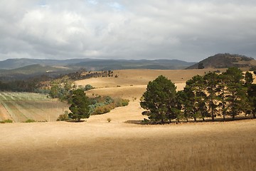 Image showing Valley in Tasmania