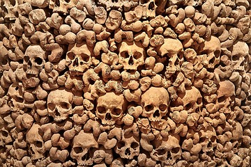 Image showing Skulls and bones in a wall